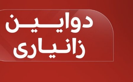 ئەنجامە بەراییەکانی دەنگدانی تایبەت