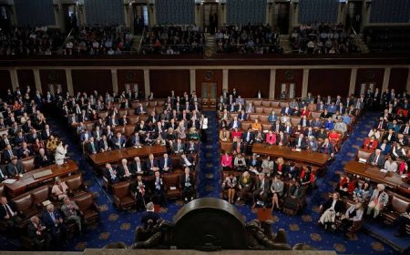 ئەندامێکی کۆنگرێس: پێویستە ئەمریکا پشتگیری لە سیستمی فیدراڵی بۆ کوردی سووریا بکات