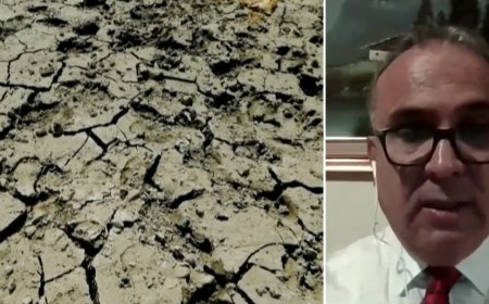 نوێنەری فاو لە عێراق: ئەگەر هەیە ساڵی داهاتوو کشتوکاڵ لە عێراق 30٪ کەمببێتەوە