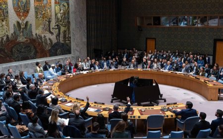 فەڵەستین دەبێتە دەوڵەت؟ ئەنجوومەنی ئاسایش پلانی ئاشتیی ترەمپی بۆ غەززە پەسند کرد