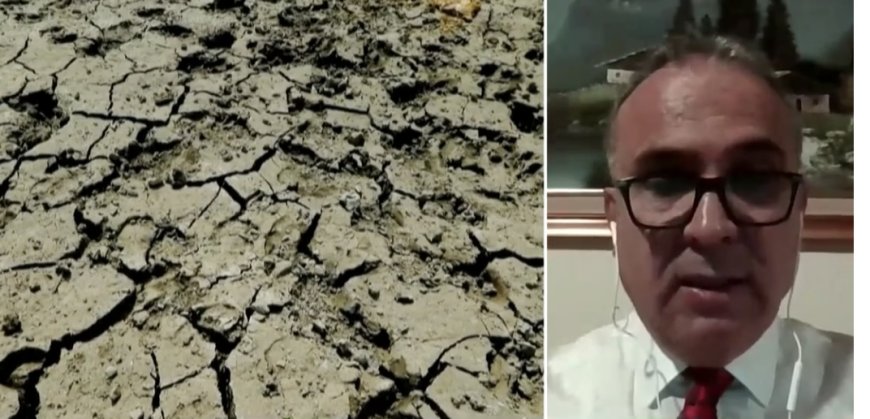 نوێنەری فاو لە عێراق: ئەگەر هەیە ساڵی داهاتوو کشتوکاڵ لە عێراق 30٪ کەمببێتەوە