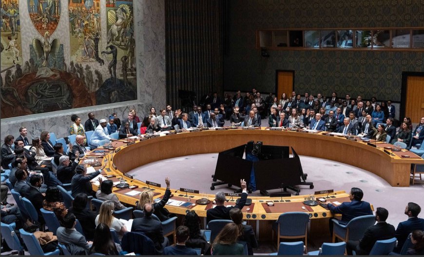 فەڵەستین دەبێتە دەوڵەت؟ ئەنجوومەنی ئاسایش پلانی ئاشتیی ترەمپی بۆ غەززە پەسند کرد