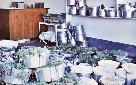 Nihêniya Masta Hewlêrê