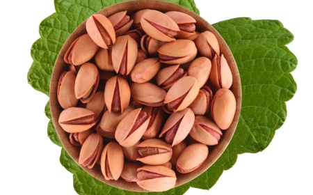 Fistiqa Sêrtê Dikare Hevsengiya Hawirdeya Bakurê Kurdistanê Biguhere