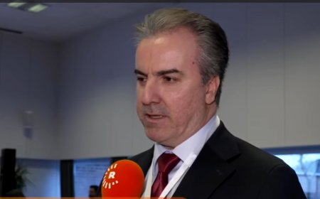 Şîfa Barzanî: Li Diyasporayê Divê Kurdayetiyê bikin