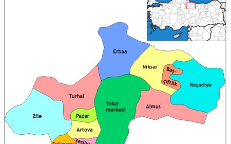 Kurdên Bajarê Tokatê: Çand û Dîroka Wan bi Zindî Maye