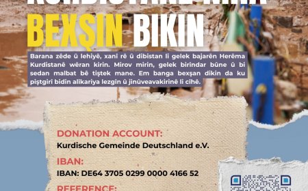 Kurdên Almanya Alîkariya Karesata Kurdistanê Dikin