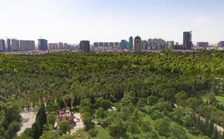 Rêjeya Qada Kesk Li Hewlêrê Zêde Bûye