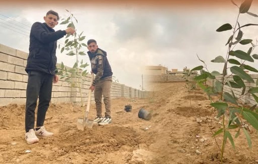 Ji Kanada Vegeriya û li Şingalê Daran Çand