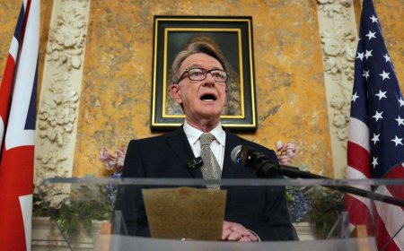 Jeffrey Epstein: Ez li bajarê Hewlêrê me li Kurdistanê