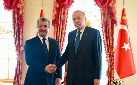 سەرۆککۆماری تورکیا، ستایشی رۆڵی سەرۆک بارزانی كرد