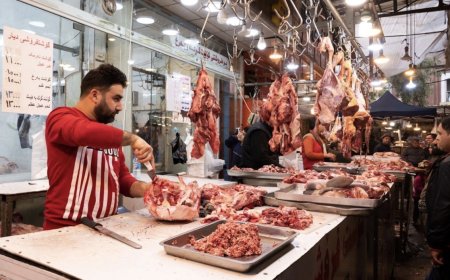 نرخی ئاژەڵ و گۆشت لە هەرێمی کوردستان بەرز دەبێتەوە