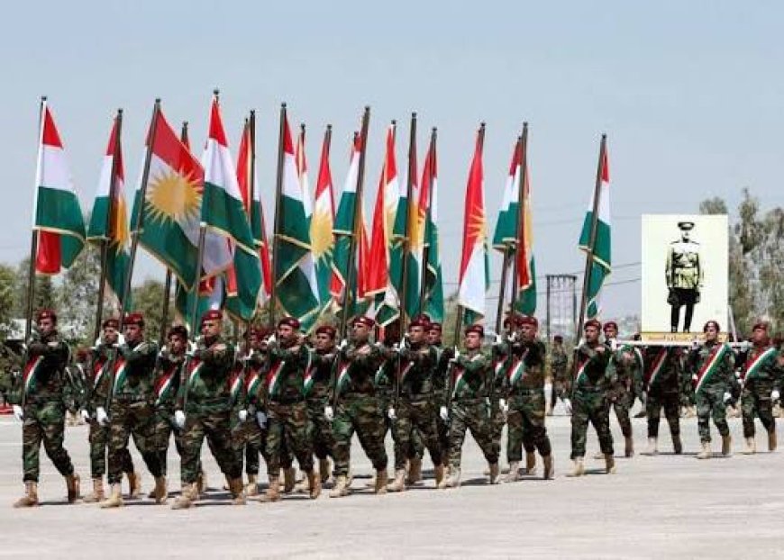 پێشمەرگە هێزێکی دەستوورییە